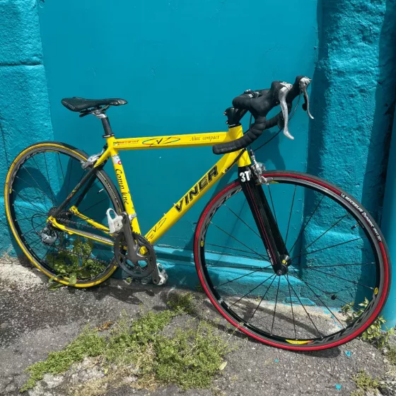 Bicicleta Viner