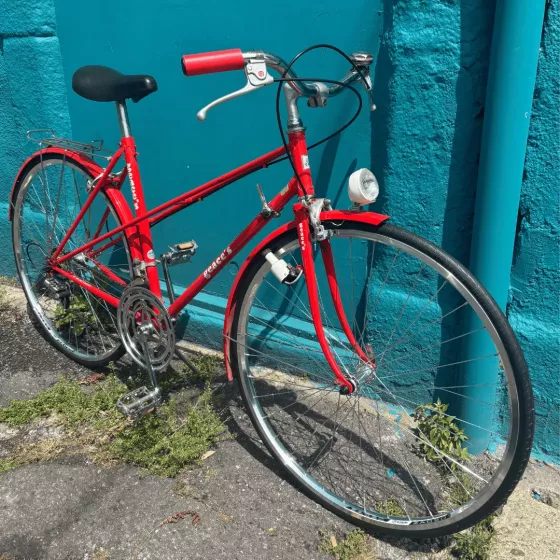 Bicicleta G.A.C. Geace's