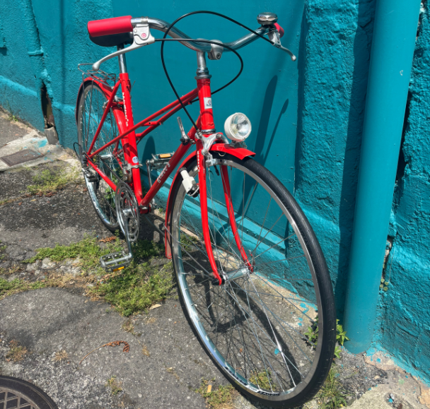 Bicicleta Geace's Sivila Bike